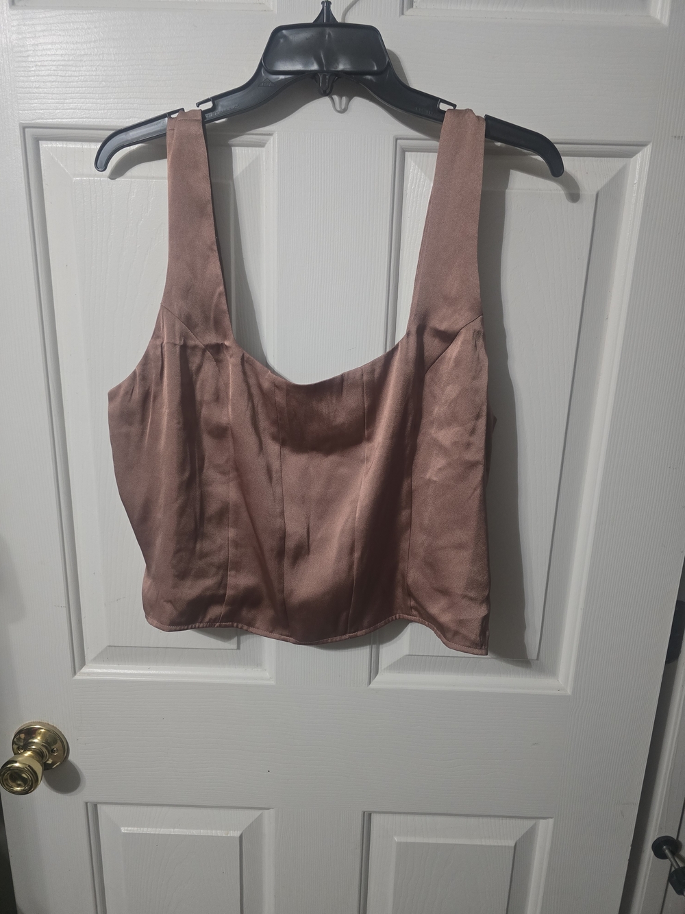 Express Satin Scoop Neck Crop Top in Mauve Rose